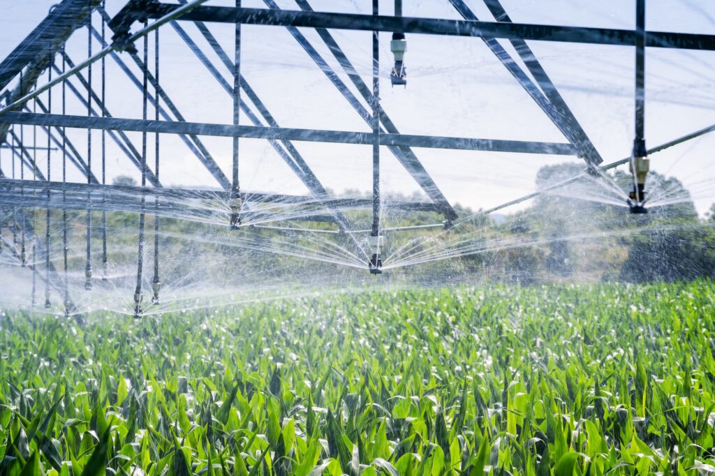 La Importancia del Riego Automatizado en la Agricultura Moderna