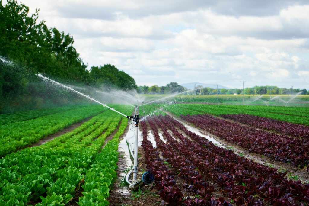 Optimiza Tu Producción con Fertirriego: Qué es y Cómo Implementarlo